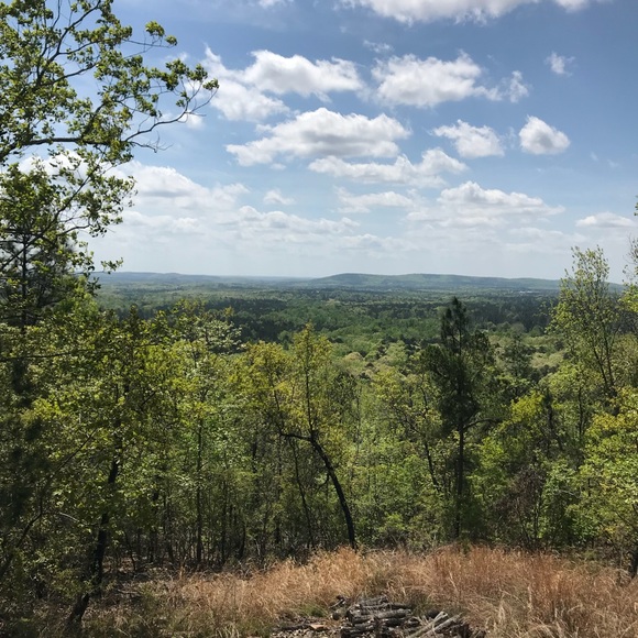 Meet your Posher, Matt - Picture 1 of 1